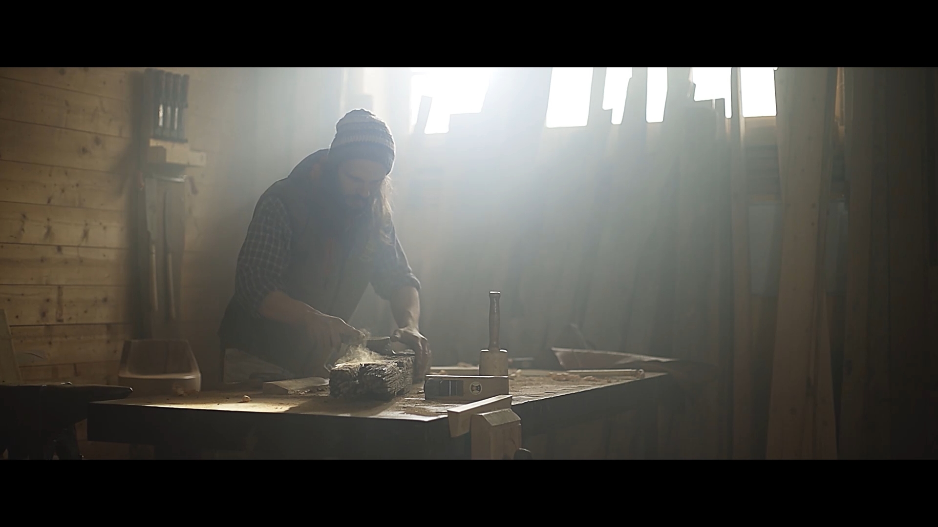 Spot dall'Albero all'Arte